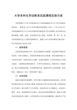 大学本科生劳动教育实践课程实施方案.docx