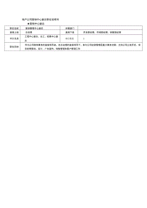 地产公司营销中心副总职位说明书.docx