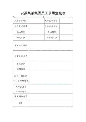 安徽某某集团员工录用意见表.docx
