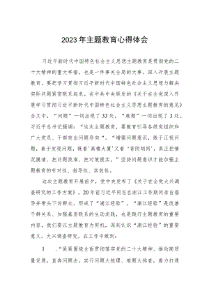 医院关于2023年主题教育的心得体会(五篇).docx