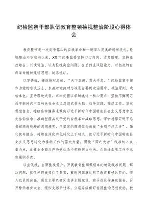 纪检干部队伍教育整顿检视整治环节心得体会三篇.docx