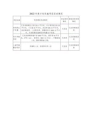 绩效目标实现情况2022年度计划实施项目完成情况.docx