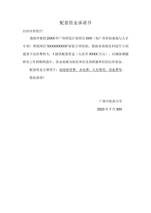 配套资金承诺书.docx
