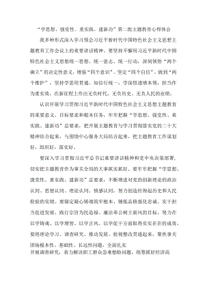 党员干部学思想、强党性、重实践、建新功第二批主题教育个人心得体会 汇编5份.docx