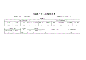 2021年度行政执法统计报表.docx