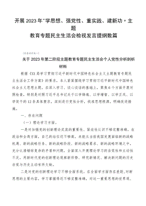 开展2023年“学思想、强党性、重实践、建新功”主题教育专题民主生活会检视发言提纲数篇.docx
