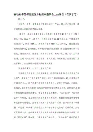 在驻村干部抓党建促乡村振兴座谈会上的讲话.docx