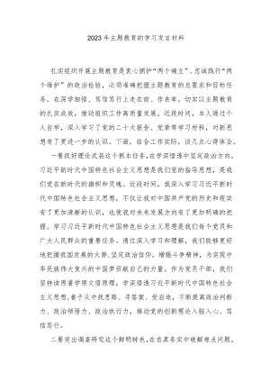 2023年主题教育的学习发言材料.docx