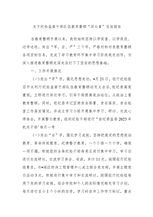 关于纪检监察干部队伍教育整顿“回头看”总结报告.docx
