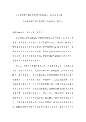 在全省年轻干部选拔任用工作座谈会上的发言(二篇).docx