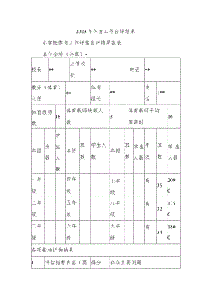 2023年体育工作自评结果.docx