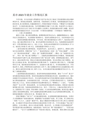 某市2023年就业工作情况汇报.docx