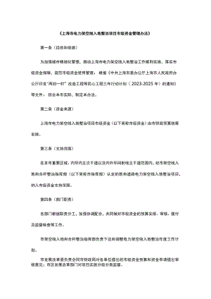 上海市电力架空线入地整治项目市级资金管理办法-全文及解读.docx