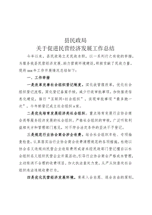 促进民营经济发展总结.docx