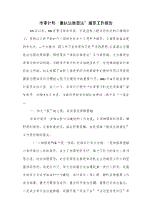 市审计局“谁执法谁普法”履职工作报告.docx