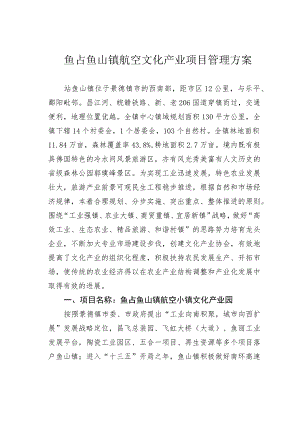 鲇鱼山镇航空文化产业项目管理方案.docx