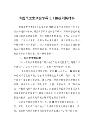 专题民主生活会领导班子检视剖析材料.docx