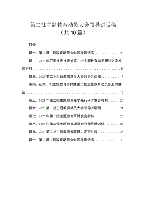 第二批主题教育动员大会领导讲话稿（共10篇）.docx