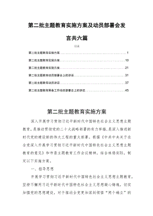 2023第二批主题教育实施方案及动员部署会发言词共六篇.docx