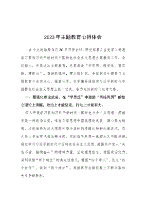 2023主题教育心得感悟(八篇).docx