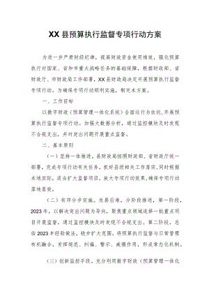 XX县预算执行监督专项行动方案.docx