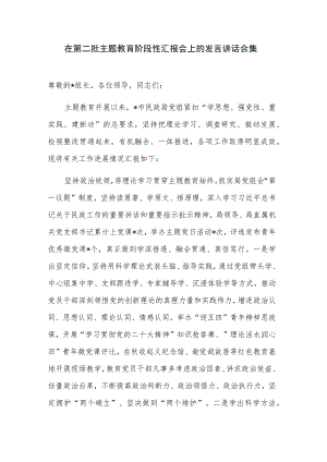 在第二批主题教育阶段性汇报会上的发言讲话合集.docx