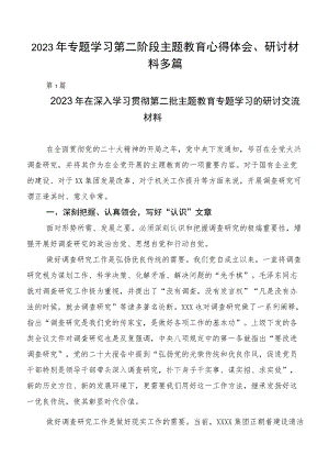 2023年专题学习第二阶段主题教育心得体会、研讨材料多篇.docx