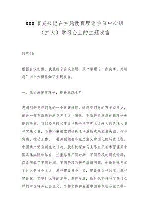 XXX市委书记在主题教育理论学习中心组（扩大）学习会上的主题发言.docx