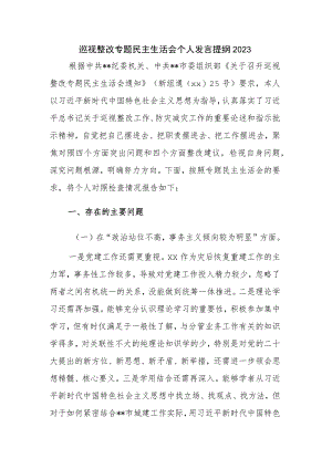 巡视整改专题民主生活会个人发言提纲2023.docx