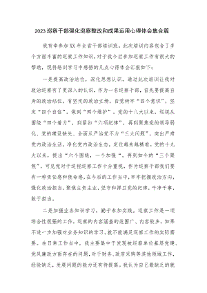 2023巡察干部强化巡察整改和成果运用心得体会集合篇.docx