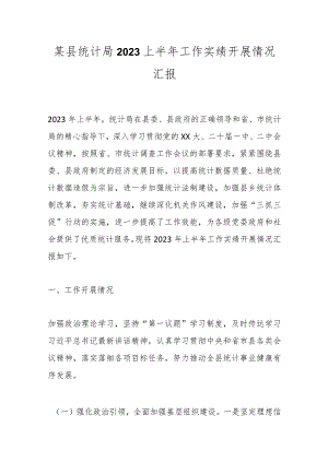 某县统计局2023上半年工作实绩开展情况汇报.docx
