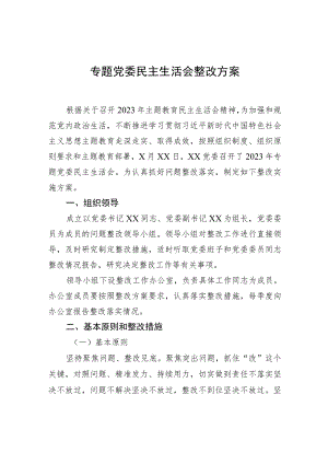 专题党委民主生活会整改方案.docx