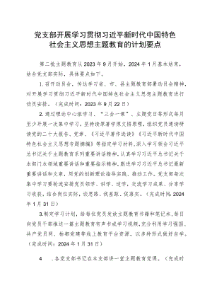 党支部开展主题教育计划要点.docx