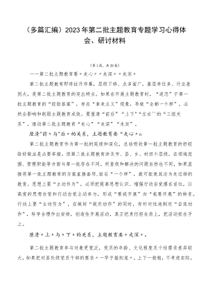 （多篇汇编）2023年第二批主题教育专题学习心得体会、研讨材料.docx