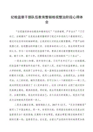 纪检监察干部队伍教育整顿检视整治阶段心得体会四篇.docx