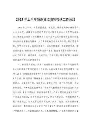 2023年上半年防返贫监测和帮扶工作总结.docx