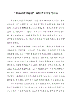 弘扬红旗渠精神学习体会三篇.docx