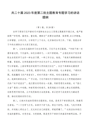 共二十篇2023年度第二批主题教育专题学习的讲话提纲.docx