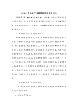 供销社党组关于巡察整改进展情况报告.docx
