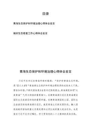 青海生态保护和环境治理心得体会发言、做好生态修复工作心得体会发言共两篇.docx