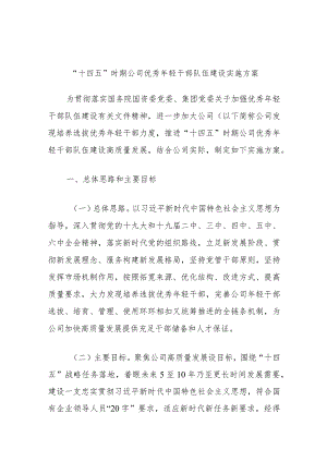 “十四五”时期公司优秀年轻干部队伍建设实施方案.docx