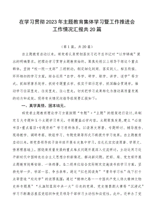 在学习贯彻2023年主题教育集体学习暨工作推进会工作情况汇报共20篇.docx