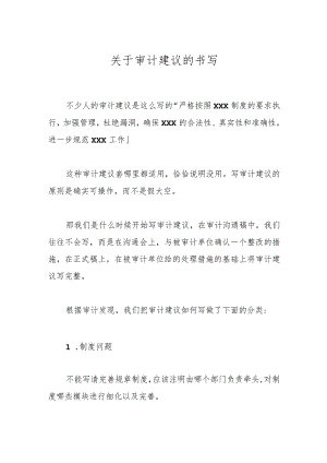 关于审计建议的书写.docx