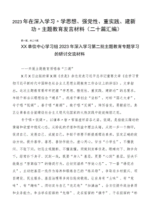 2023年在深入学习“学思想、强党性、重实践、建新功”主题教育发言材料（二十篇汇编）.docx