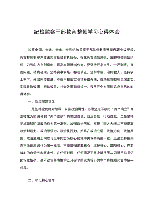 纪检监察干部教育整顿学习心得体会.docx