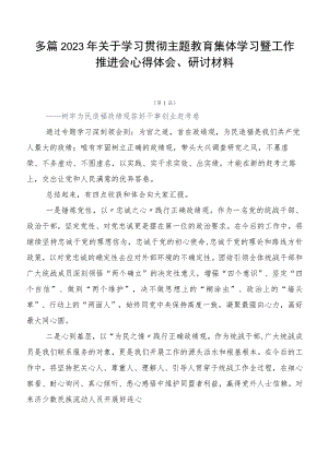 多篇2023年关于学习贯彻主题教育集体学习暨工作推进会心得体会、研讨材料.docx