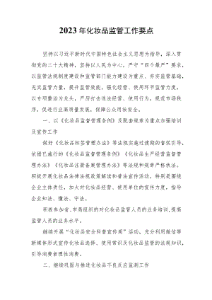 2023年化妆品监管工作要点.docx