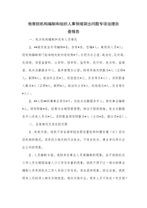 检察院机构编制和组织人事领域突出问题专项治理自查报告.docx