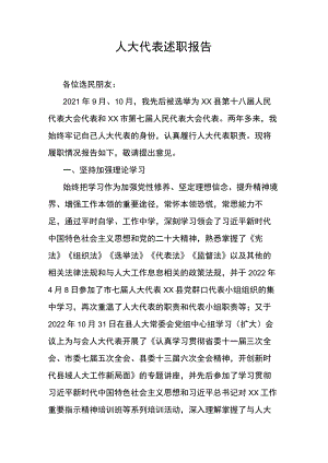 人大代表述职报告.docx