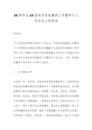 XX领导在XX县政府系统廉政工作暨审计工作会议上的讲话.docx